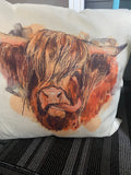 Graphic Pillows 17" x 17"